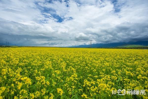 升钟湖天气1001升钟湖天气_天气天气王2345预报_青海湖天气预报