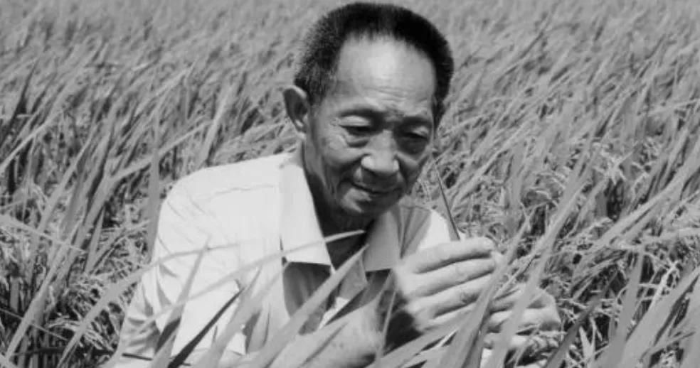 无双国士 袁隆平走了 他这9句名言经典隽永 请永远铭记 知乎