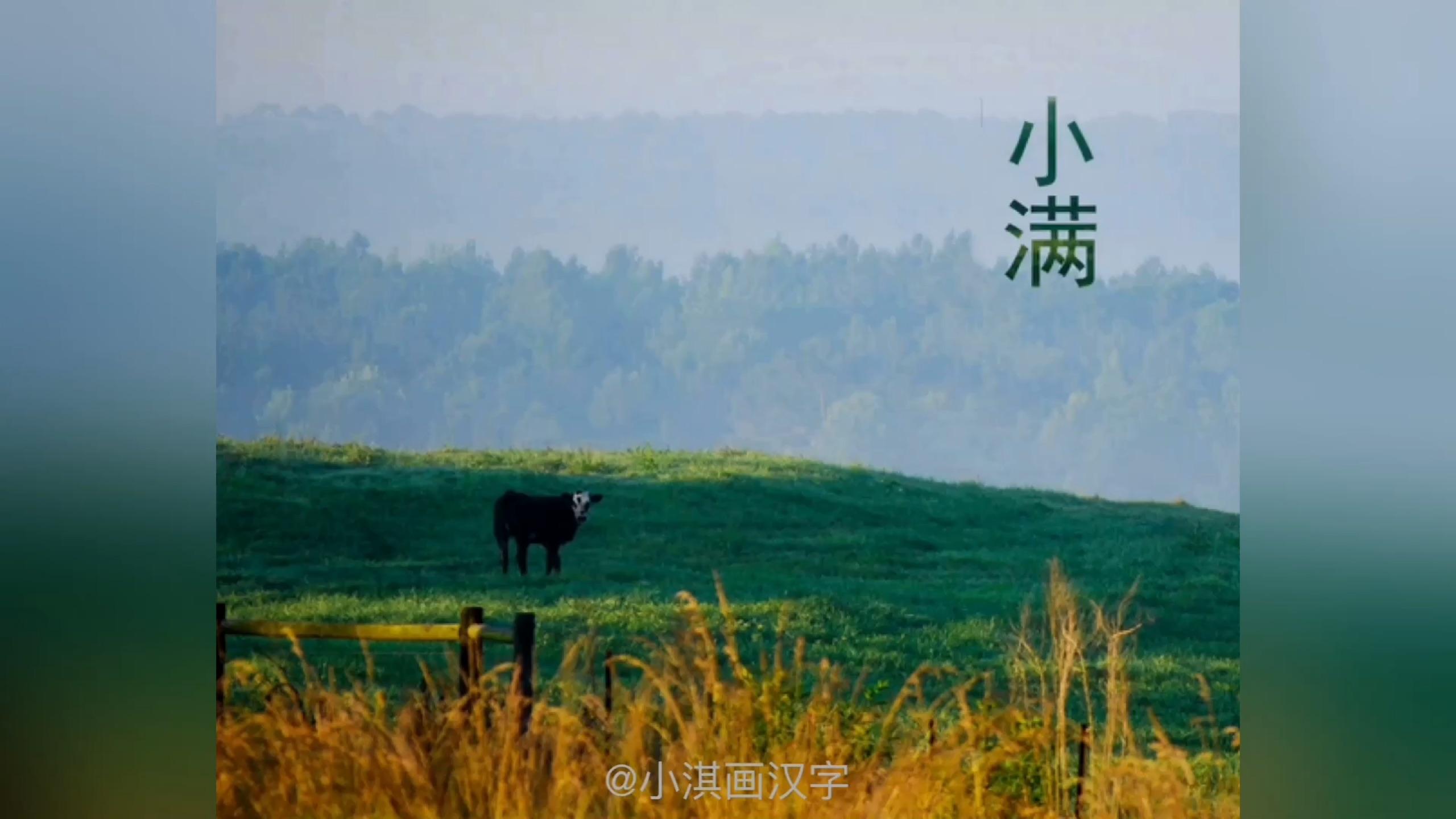 讲给孩子的二十四节气：小满