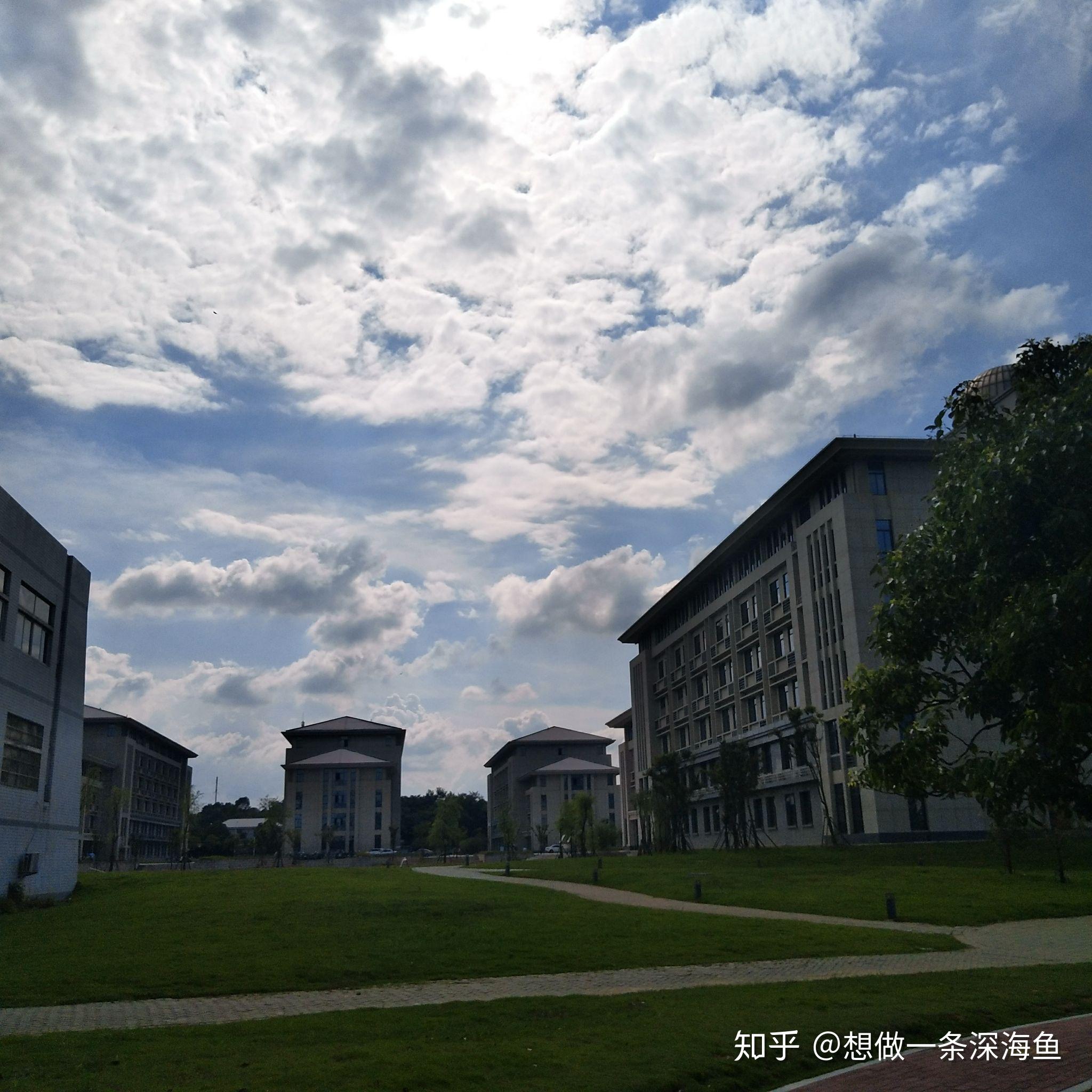 安徽历史最悠久的大学，就藏在安庆！ - 知乎