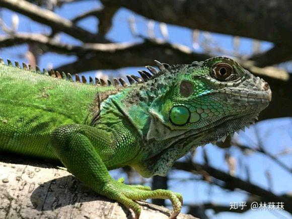 如何评价黄渤执导的电影《一出好戏》?