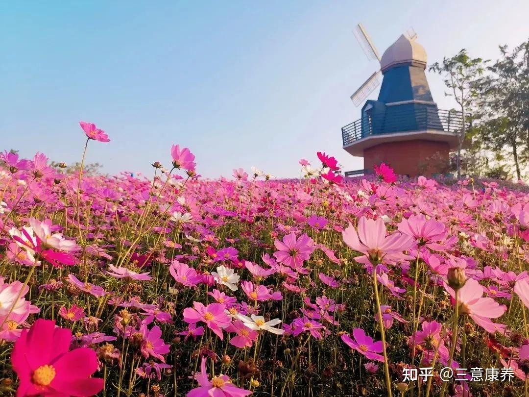 今年打算带父母去海南过冬,大概11月去,4月回租房在哪里找比较好呢? - 知乎