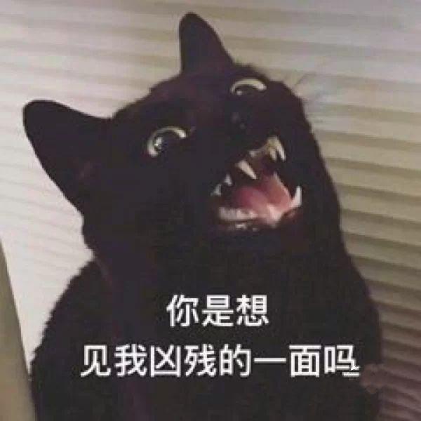 斗地主沙雕文案,斗地主沙雕文案搞笑