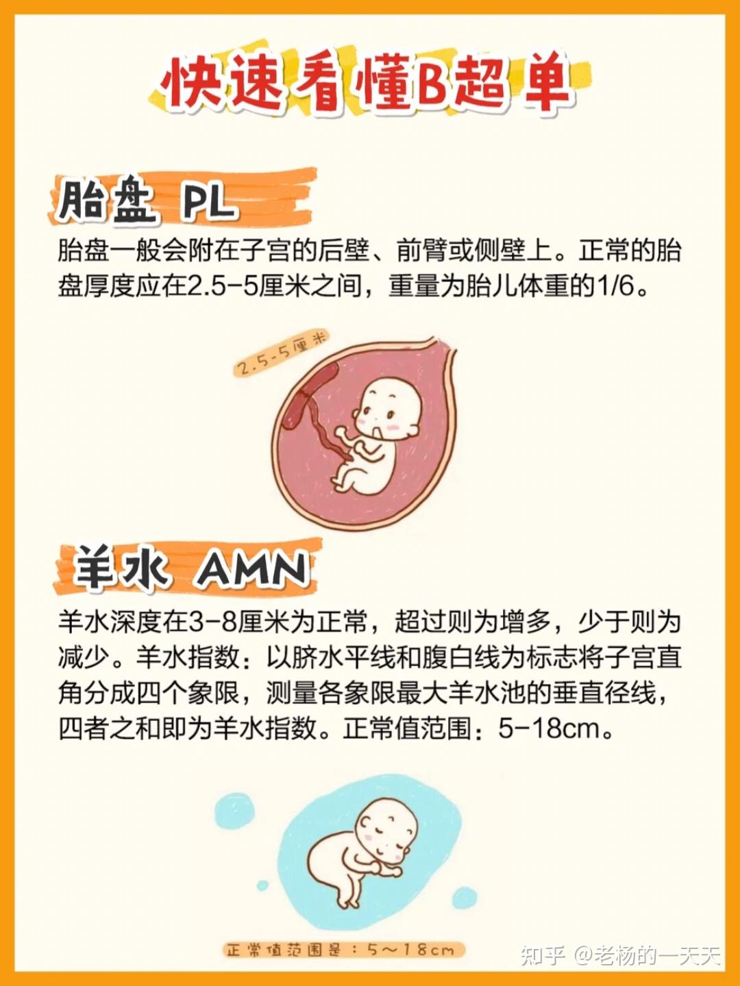 一秒教你看懂B超单!孕期超全产检时间表 - 知乎
