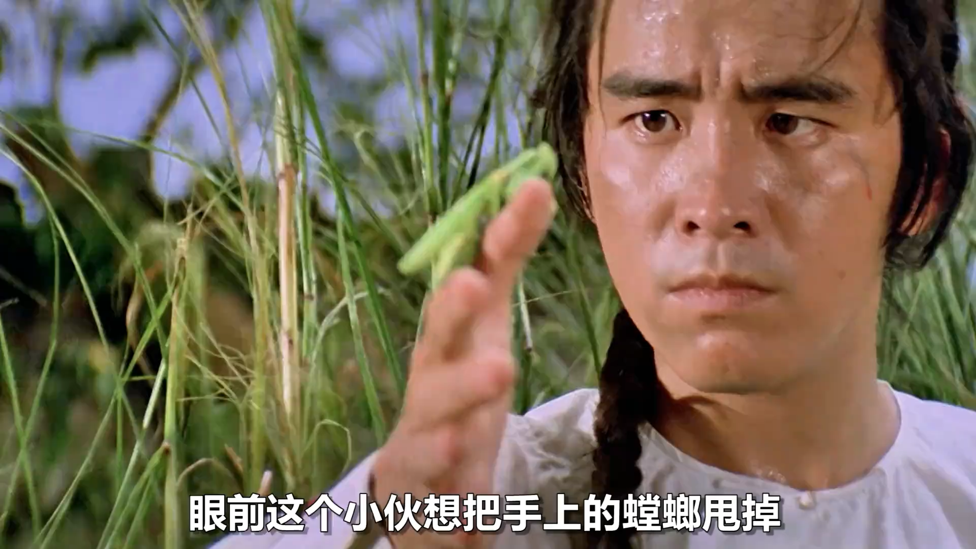 小伙每天与螳螂为伍,观察动作自创武功,竟成了一代螳螂拳宗师 #武侠