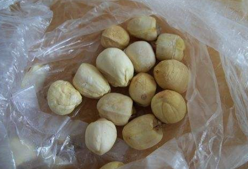 干燥后的莲子应该如何保存