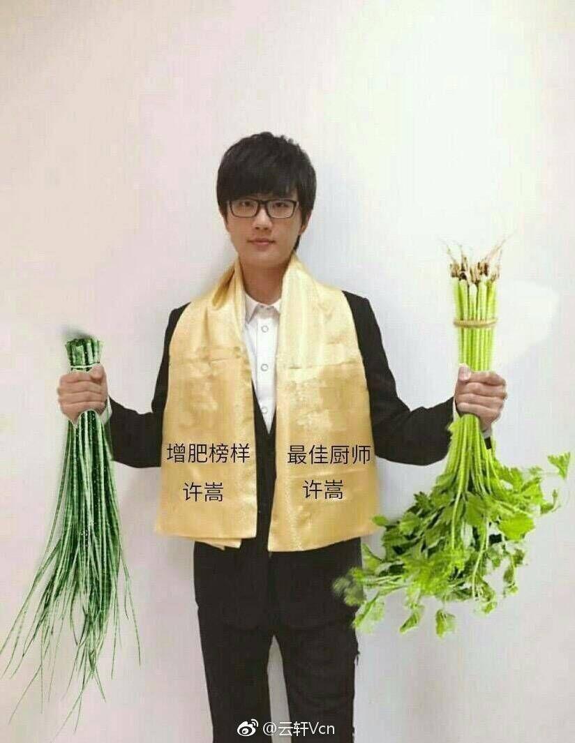 许嵩经历了什么