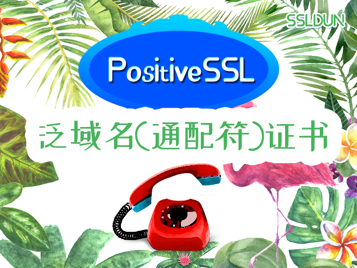 ssl域名证书(免费域名ssl证书)