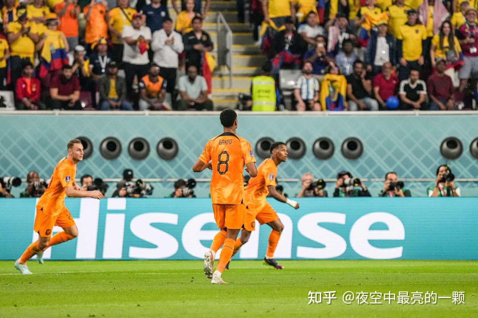 从季后赛黑马到总冠军争夺者太阳队的蜕变历程