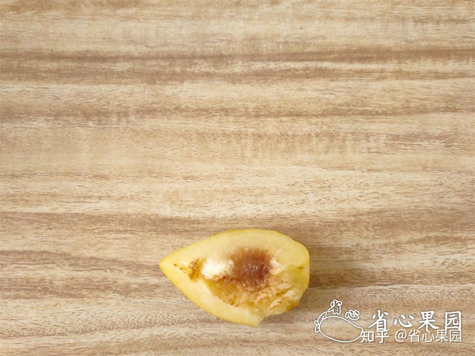 李子里面这样的是什么东西?褐色的小洞,还有透明的晶状体,这到底是啥? - 知乎