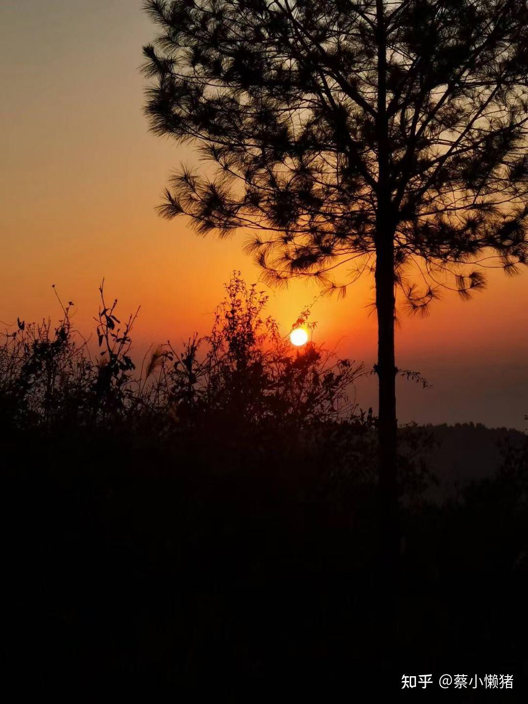 夕阳图片真实照片高清图片