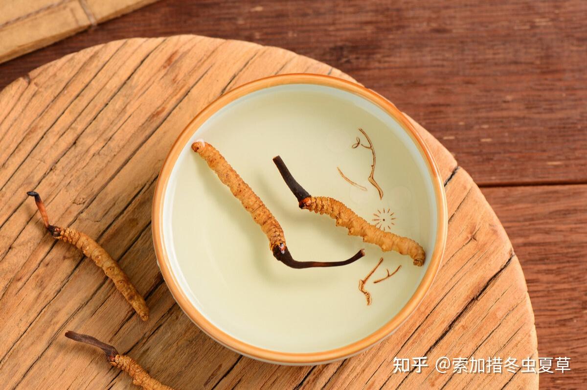 女人吃冬虫夏草至少有7大好处难怪很多明星都在吃