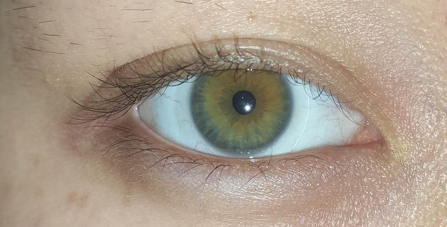 橄榄绿瞳孔图片