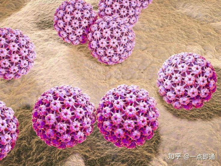 男人若感染hpv3個地方可能會長疙瘩明眼人一眼就能發現