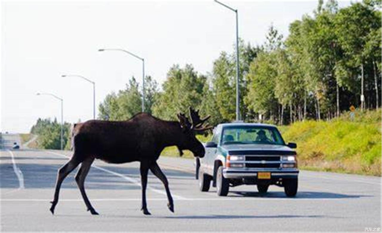 90年代的雪铁龙干翻保时捷麋鹿测试就是场闹剧