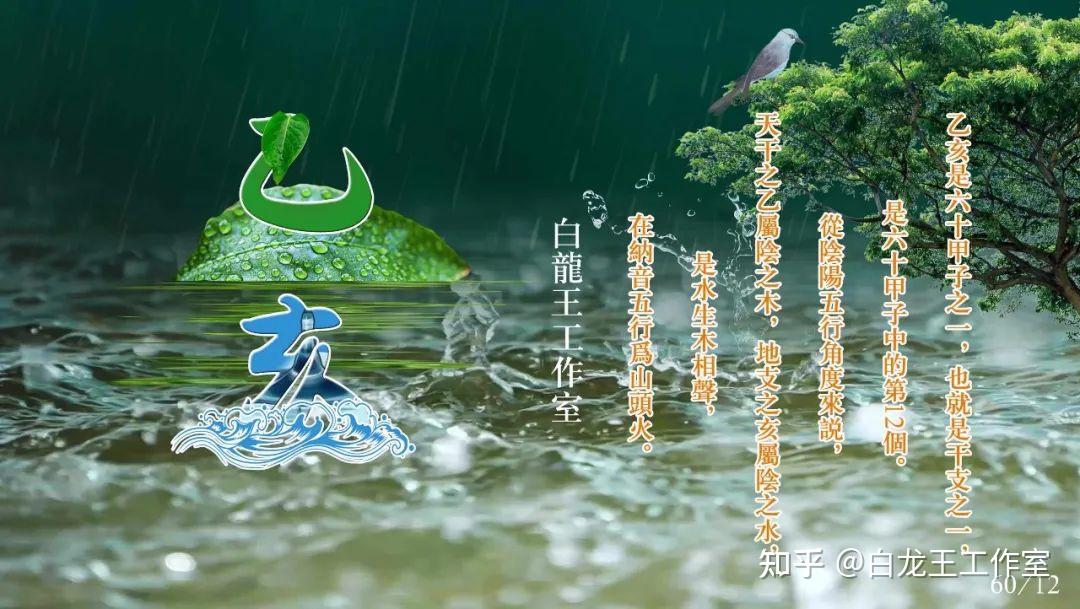 6个乙日出生人的性格解析及婚配日参考 知乎