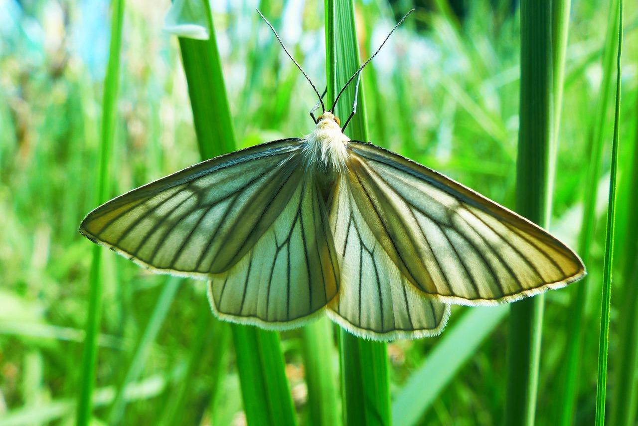 4. 蚕丝床品保养