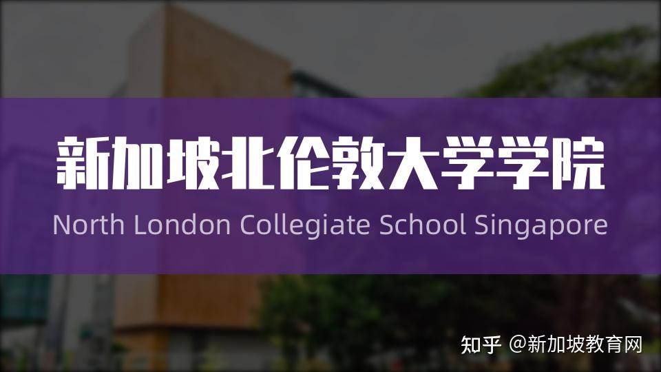 新加坡北伦敦大学学院新加坡国际学校界的新星第一梯队中的强势崛起者