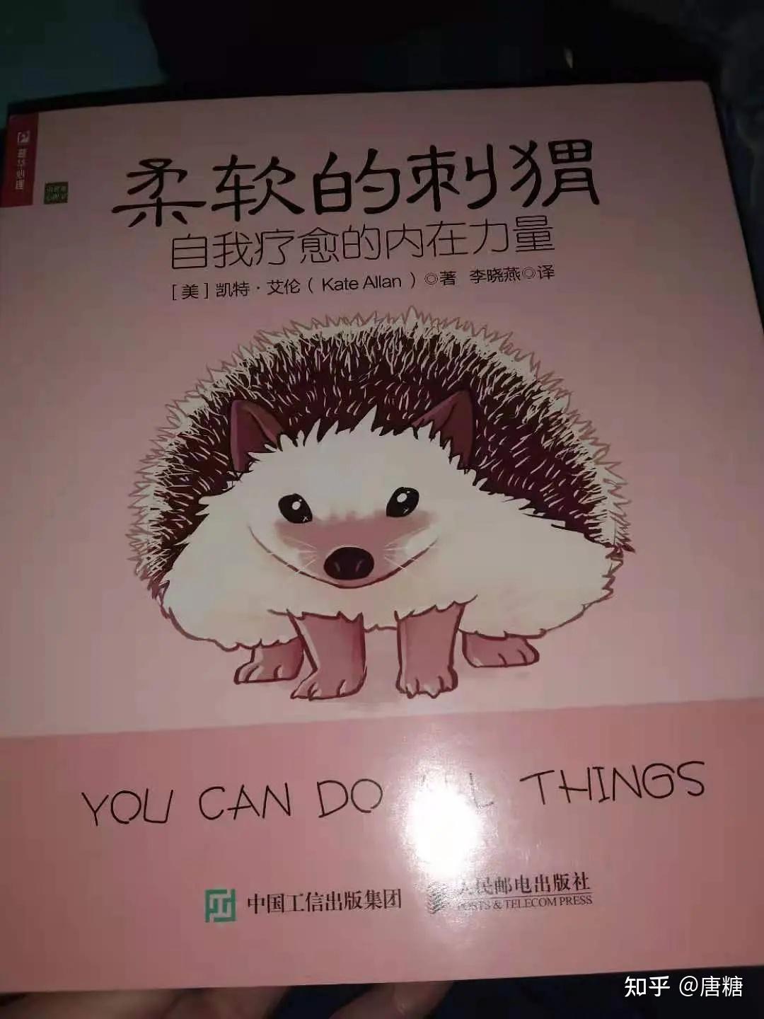 我想买柔软的刺猬自我疗愈的内在力量这本书有推荐的评论吗