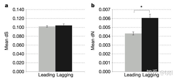 laggingstrand上为何有基因一个学术瓜