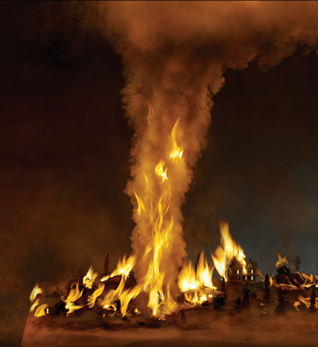 认识我们的星球8森林大火