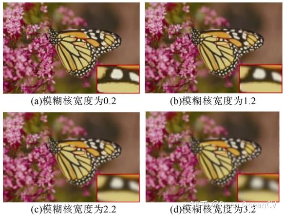释放图像的潜力