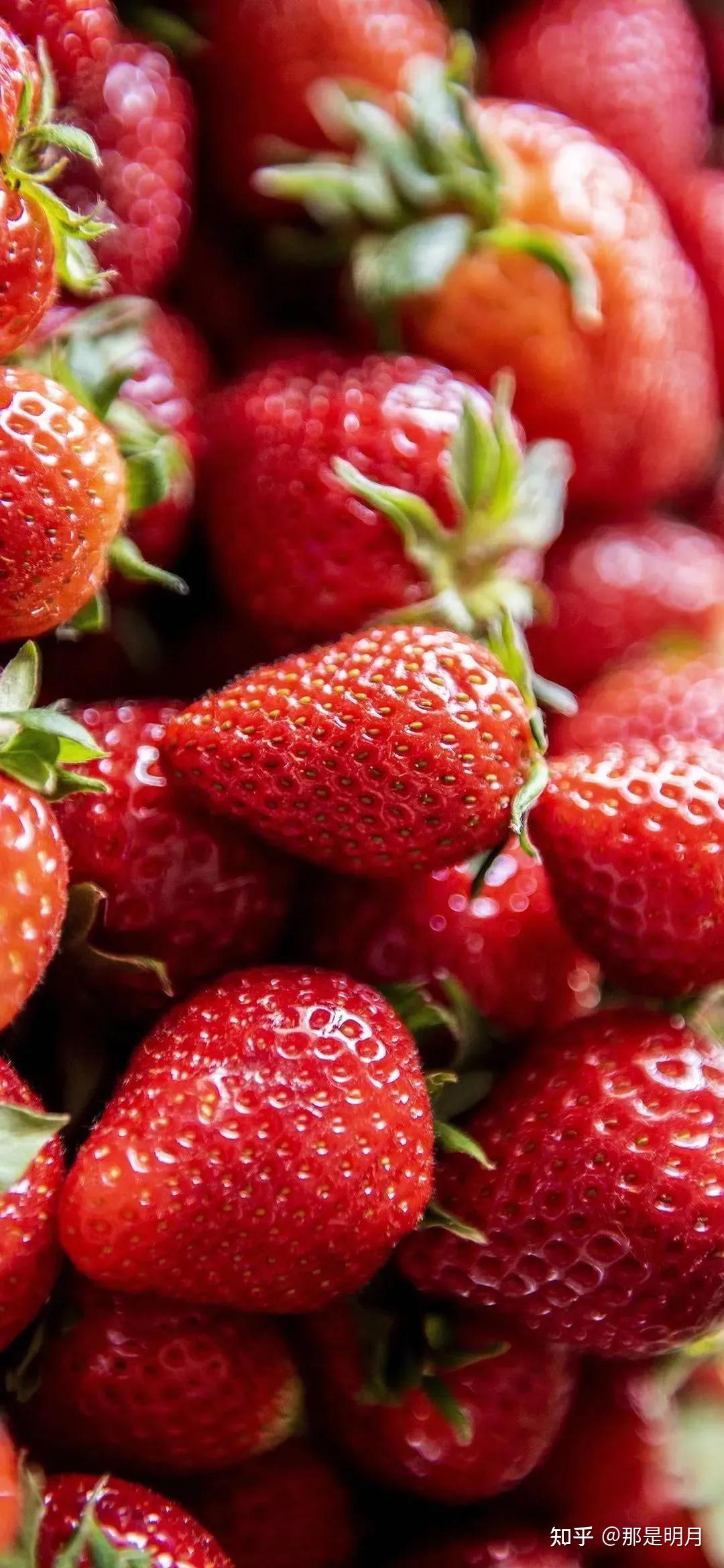 有没有很好看的草莓系列壁纸
