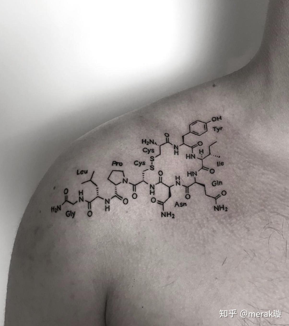 纹身理科学霸专属分子式方程式纹身