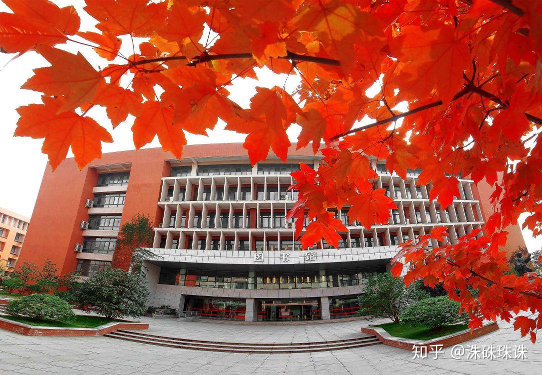 文华学院有哪些值得就读的专业