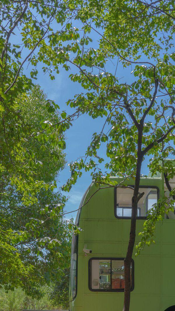 有哪些让你一眼万年的绿色系壁纸?(绿色壁纸大全图片清新自然)