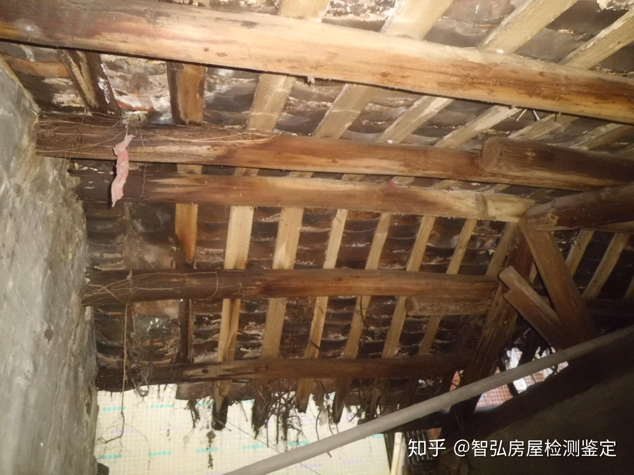 房屋安全预警!快来看看你的房屋是否发出危险信号 - 知乎