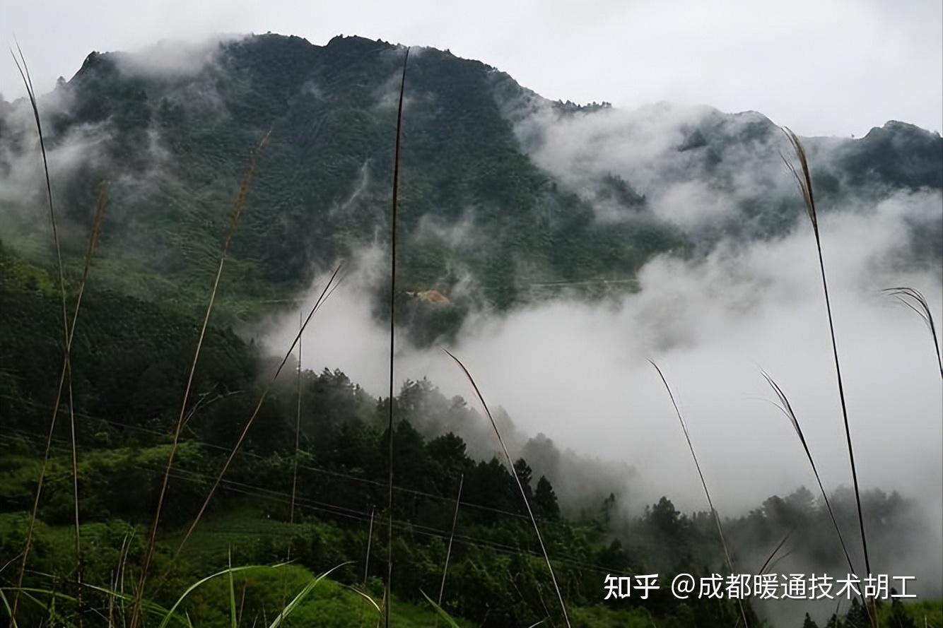 梅雨季和回南天都很“潮”,如何快速解决“潮”的问题? - 知乎