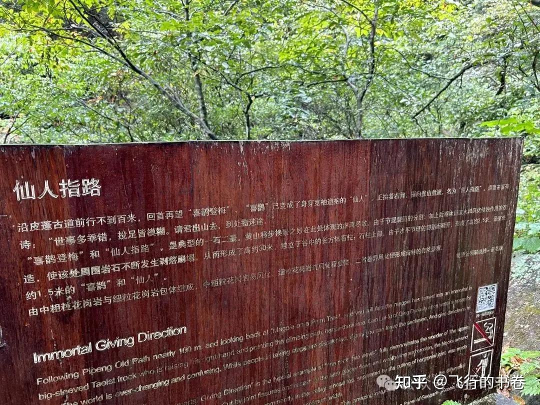 黄山雨中独行记(一):从云谷寺徒步到白鹅岭,一路有啥美景? - 知乎