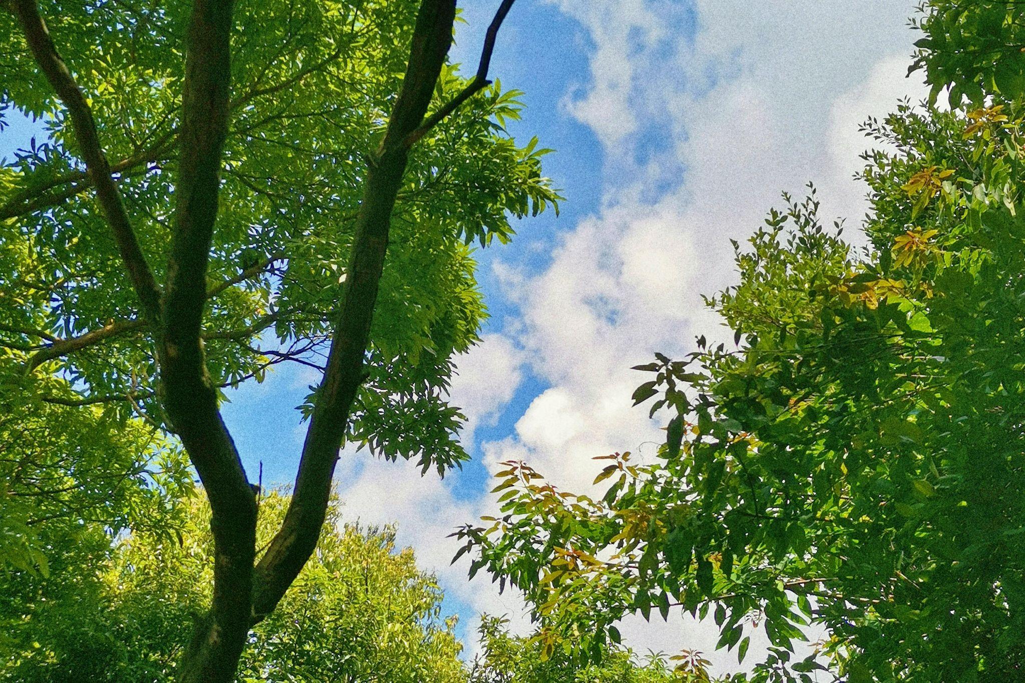 能发一张你拍过最好看的天空的照片吗