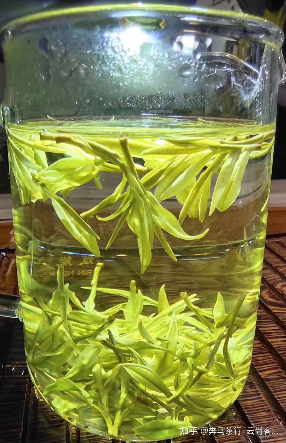 安吉白茶茶中的白富美尽显天然植物精华气质