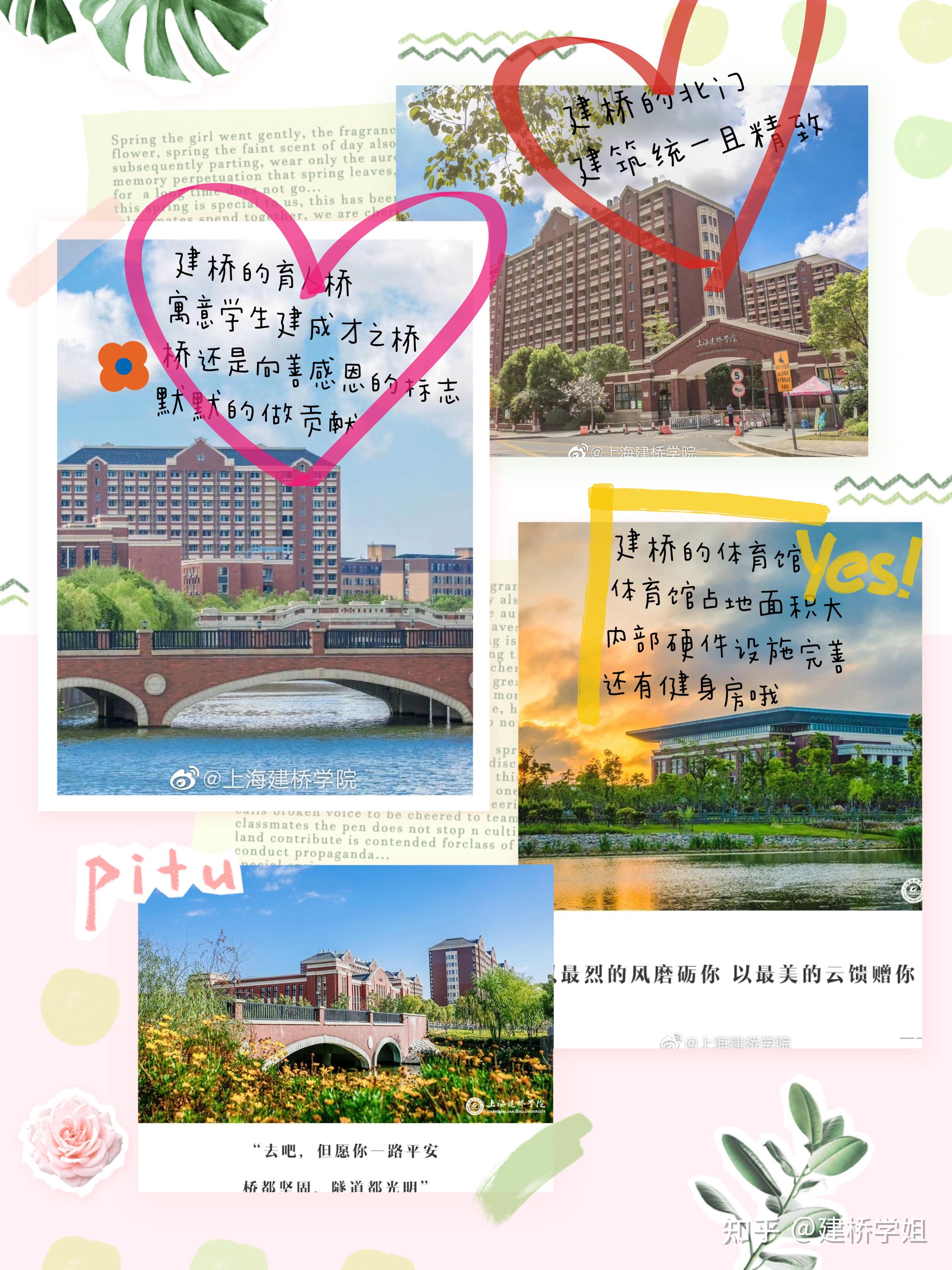 上海建桥学院 - 知乎