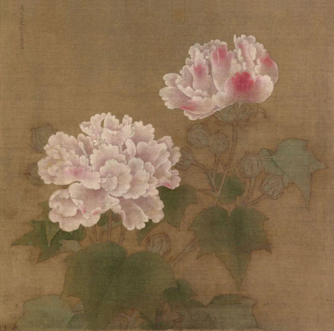 名画欣赏】​李迪《红白芙蓉图》 - 知乎