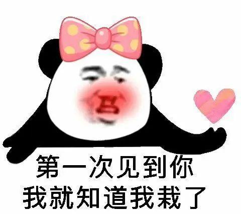 可以用来撩妹表情包