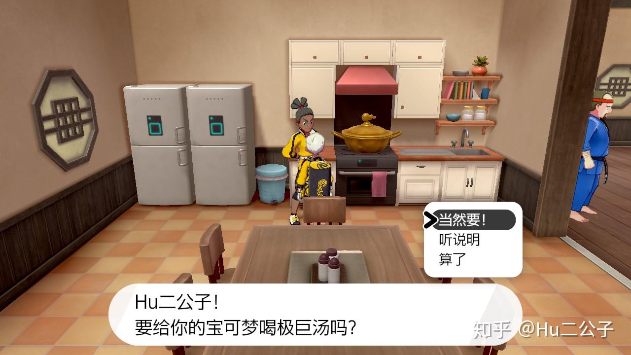 《宝可梦剑盾》新手攻略(铠之孤岛)-NPC篇 - 知乎