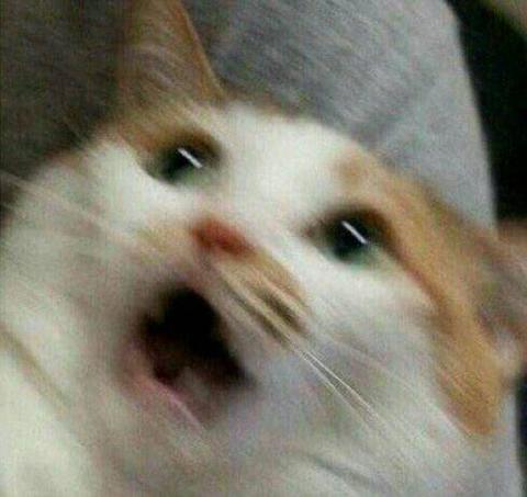 万圣节