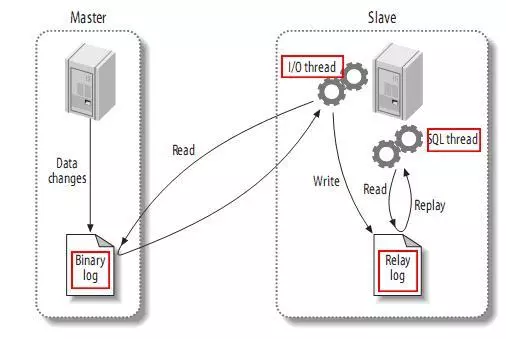 Mysql主从复制原理及搭建 知乎