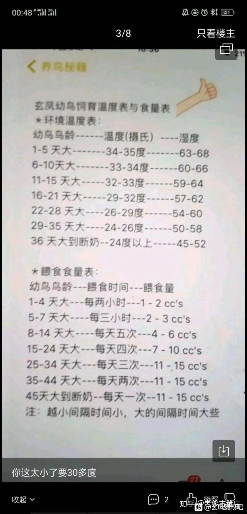 玄凤鹦鹉体重对照表图片