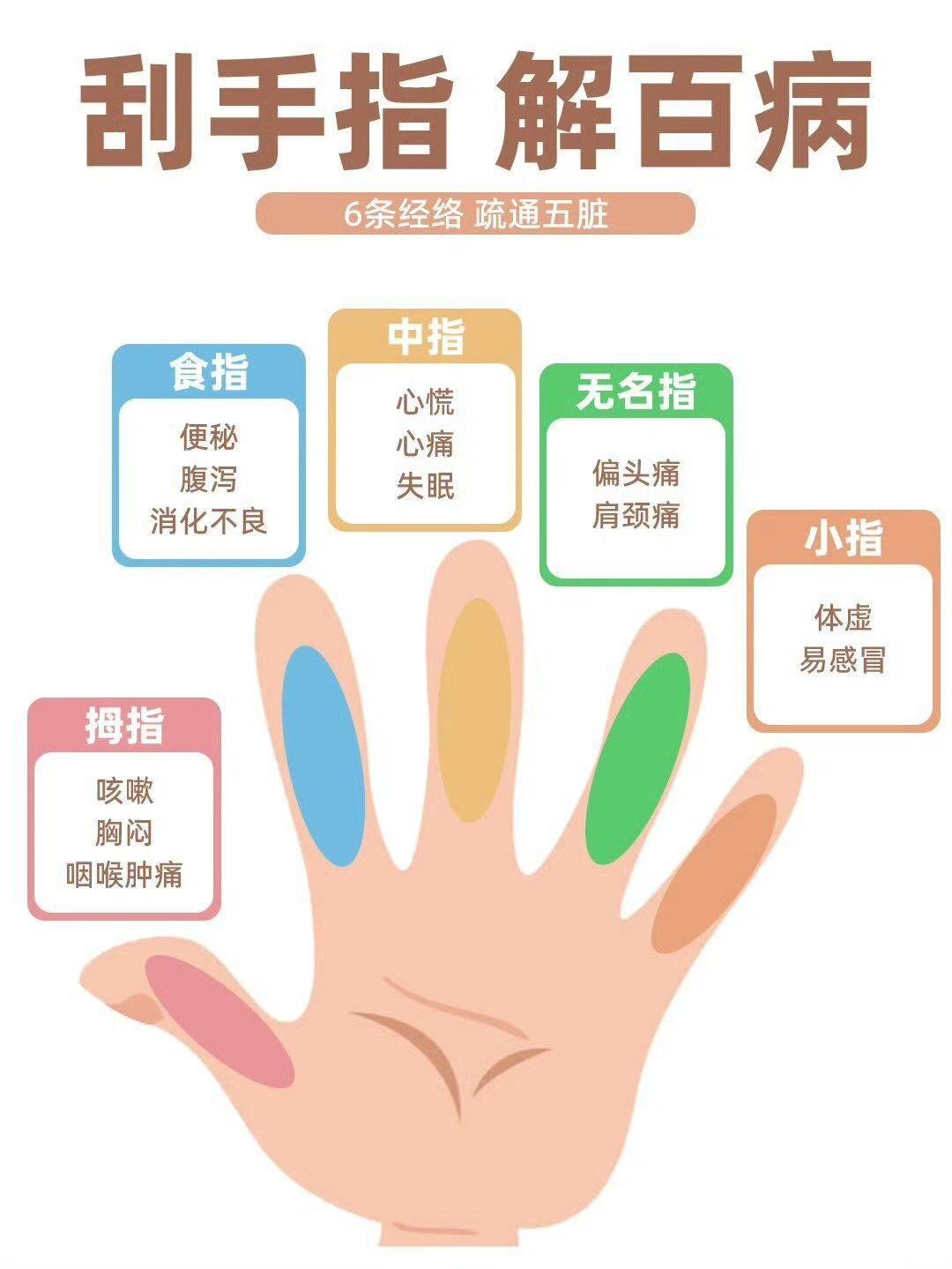 《五指六经络》你知道? - 知乎