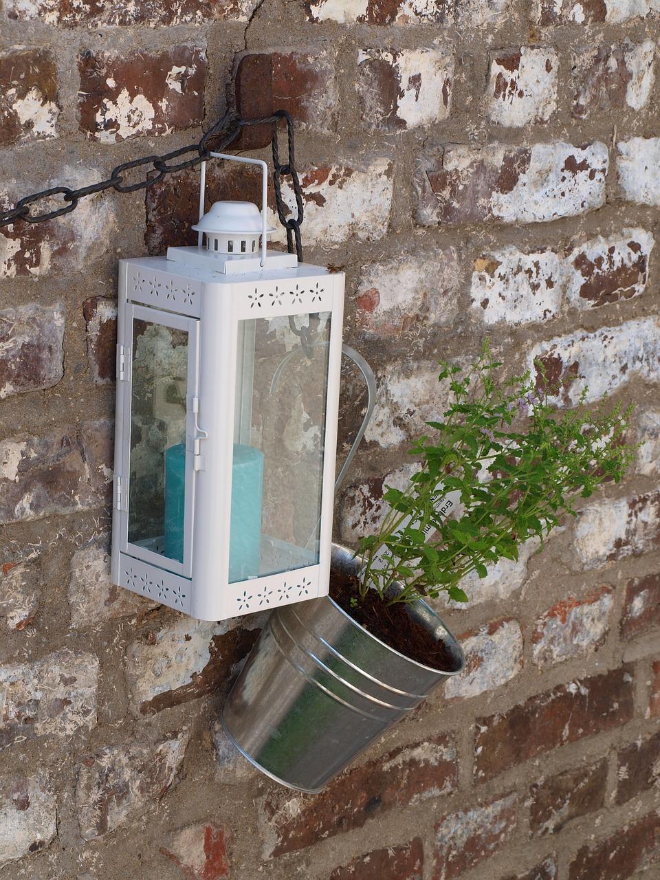 多肉补光灯什么时间用