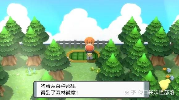宝可梦晶灿钻石发售日期(《宝可梦晶灿钻石明亮珍珠》一周目图文攻略)  第86张