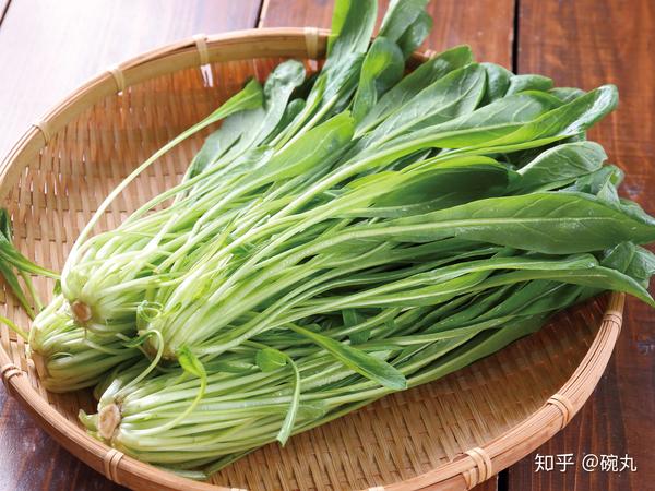 水菜与壬生菜 京都有啥骨骼清奇的蔬菜 知乎