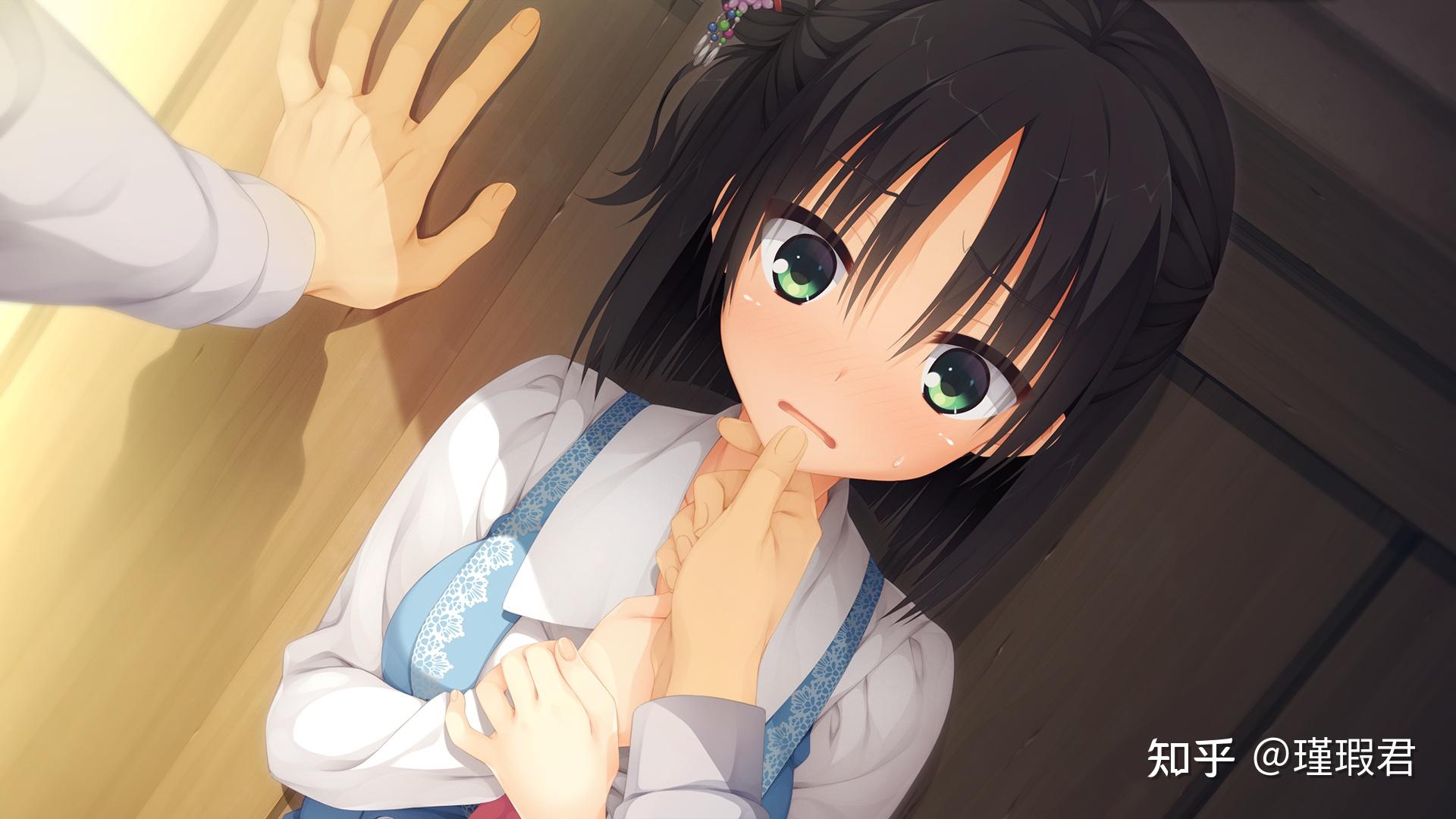 如何评价galgame千恋万花