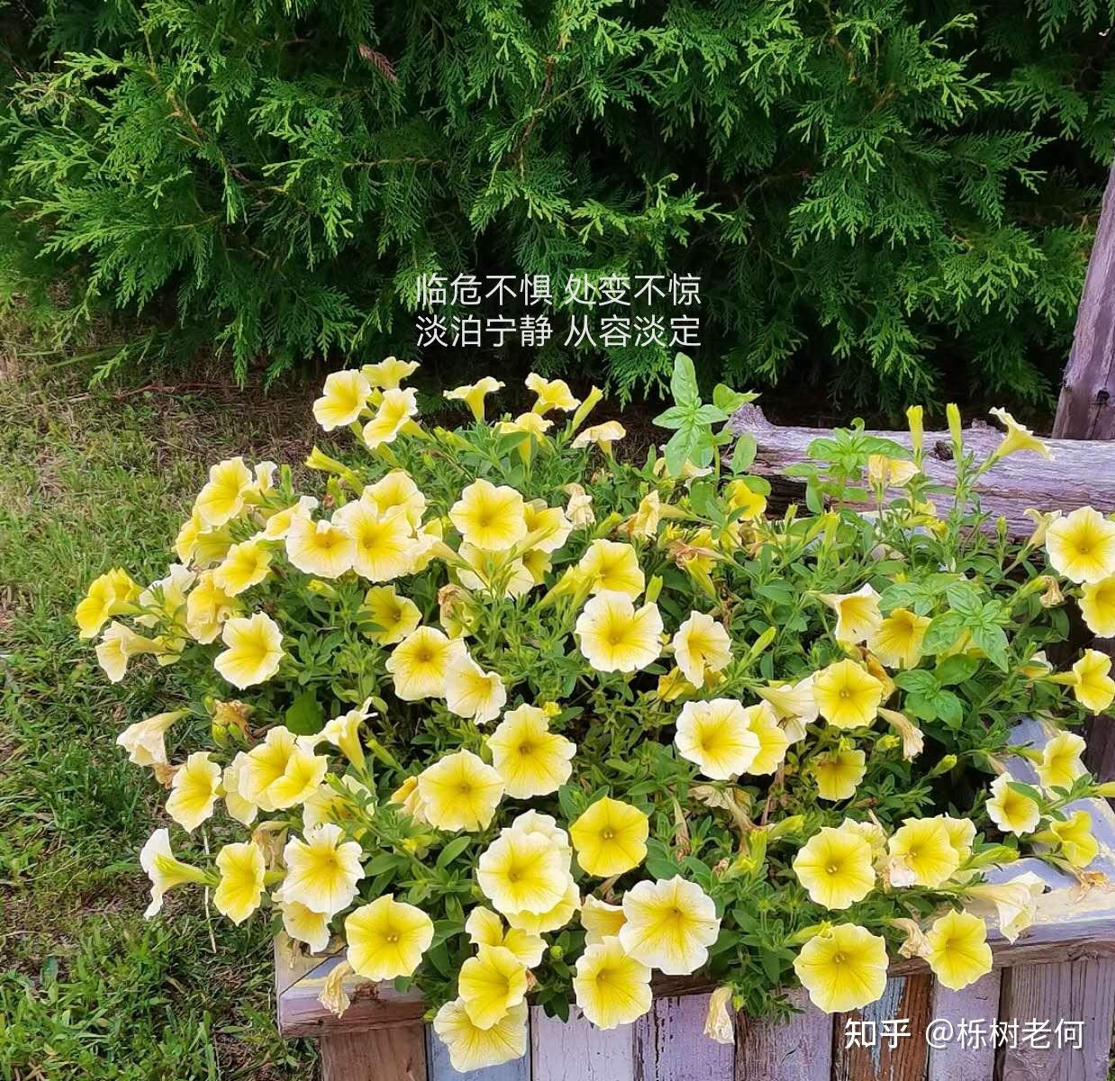低谷蓄力，把握时机，迎接命运翻盘 - 知乎