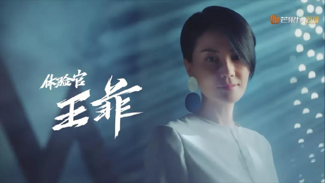 幻乐之城梦中人王菲