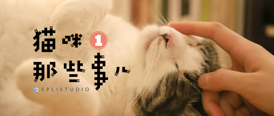 猫常见疾病之寄生虫 知乎 猫常见疾病之寄生虫 知乎